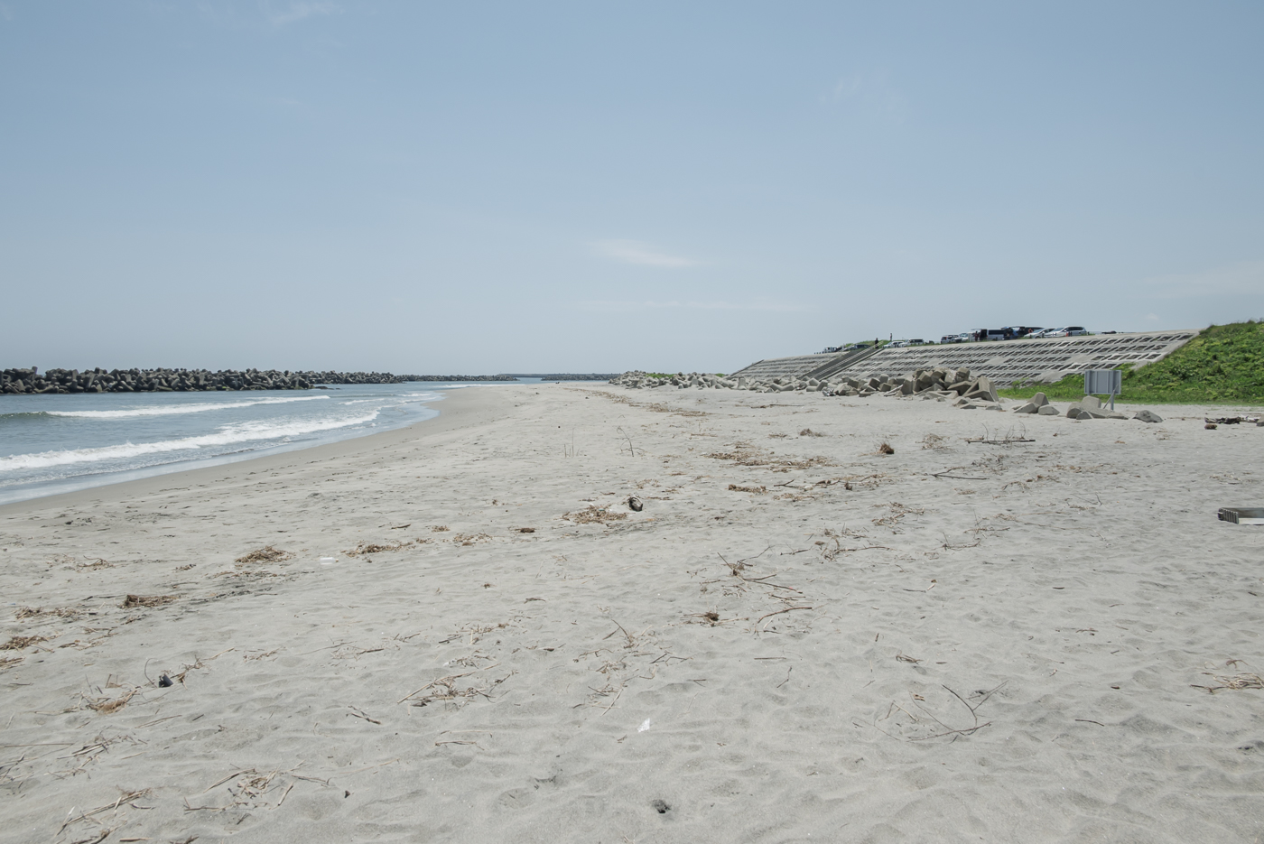 荒浜海岸の防潮堤の写真1