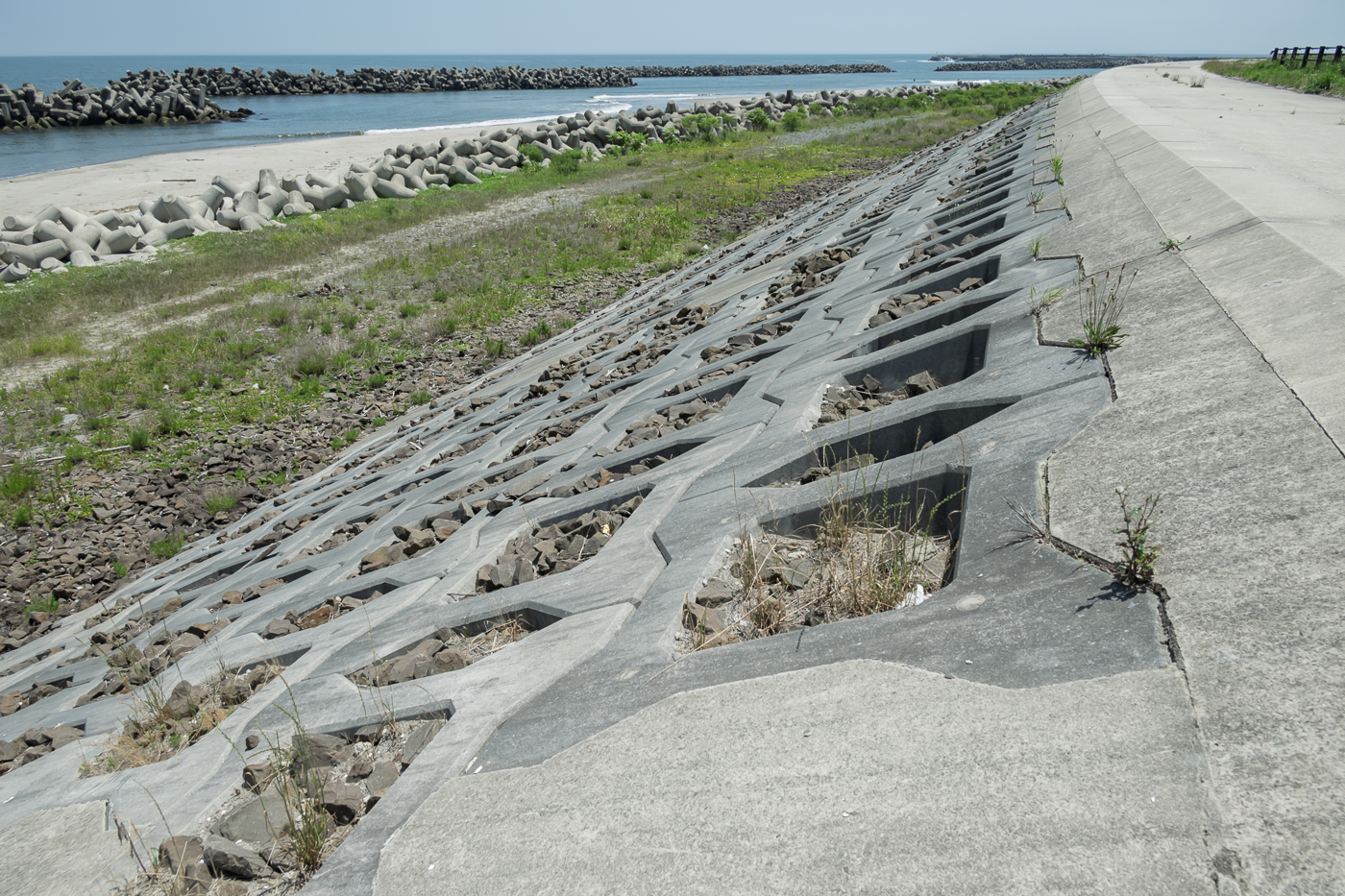 荒浜海岸の防潮堤の写真2
