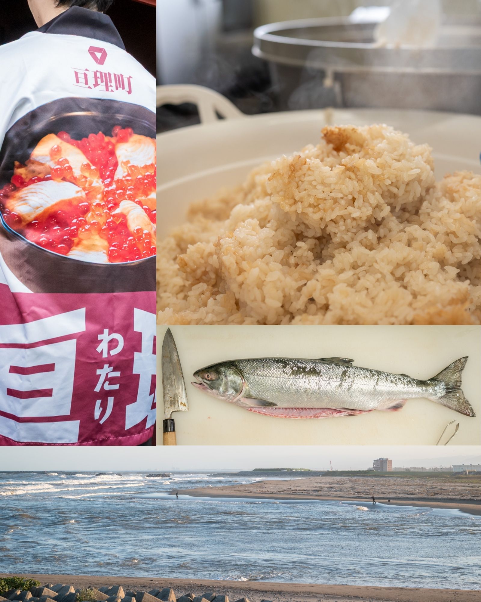 はらこめし知識記事リンク